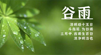 【二十四節(jié)氣灸】谷雨時節(jié)，用艾為您的健康加上一道保險！