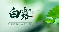 【二十四節(jié)氣灸】白露涼爽，養(yǎng)心肝脾胃、滋陰潤(rùn)肺是關(guān)鍵！