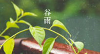 【二十四節(jié)氣灸】谷雨節(jié)氣脾土濕，艾灸降濕濁，脾旺不受邪！